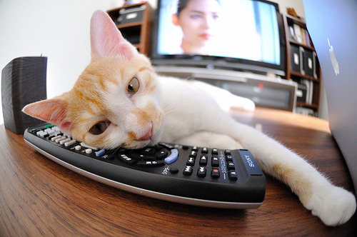 缺席的比利时人教会了红牛，迪亚斯在佛罗伦萨之夜用胜利亲吻了欧洲