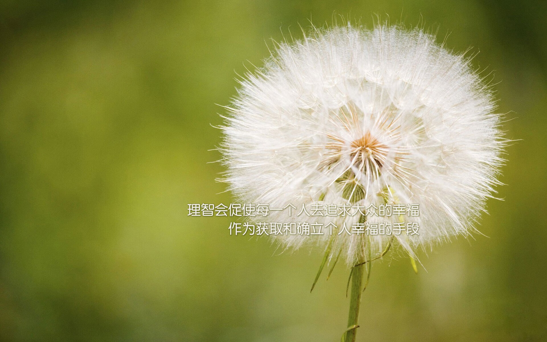 南半球的逆袭，马丁内利一锤定音，助新西兰勇士爆冷击败罗马雄鹰