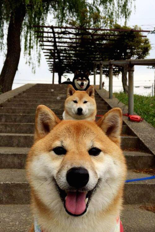 魔法脚踝与马队铁翼，罗德里惊艳四座的佛罗伦萨征服墨西哥城