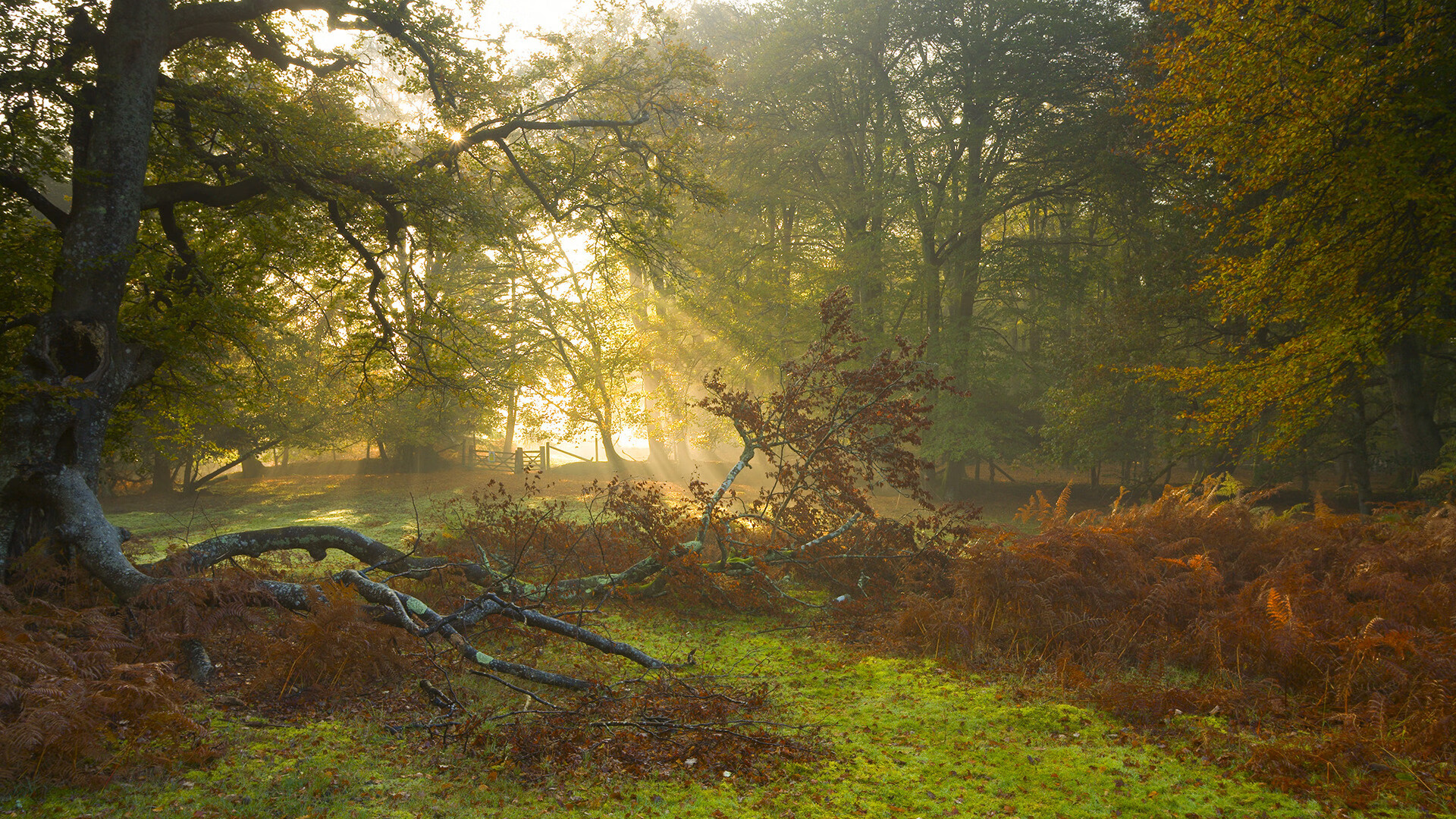 跨越数字的传奇，詹姆斯40000分之夜，开拓者与76人共证历史