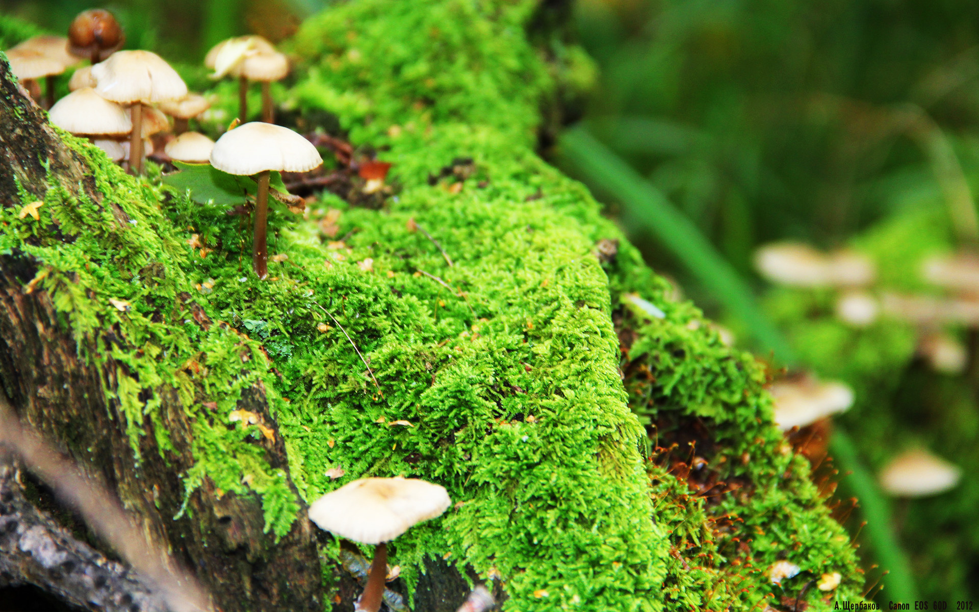 稳定即稀缺，当时间在勒布朗身上按下暂停键