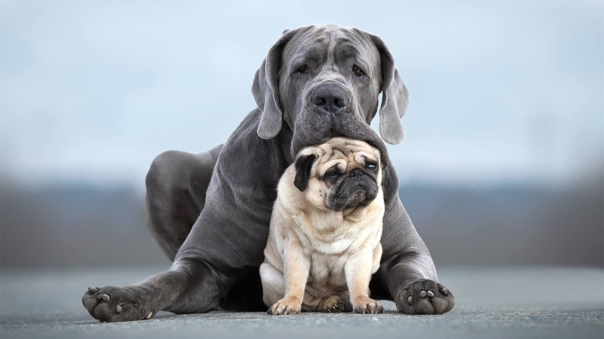 友谊赛奇景，多特压哨绝杀几内亚，观战萨卡远程展示火热状态