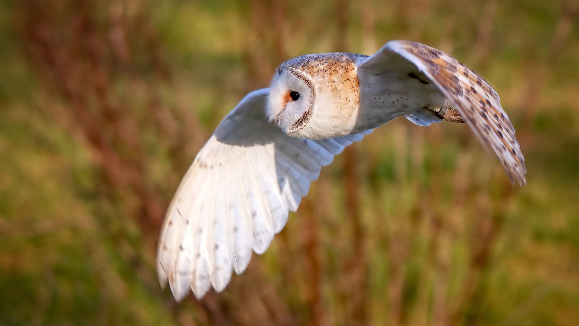 思维扩展,文章标题备选方案