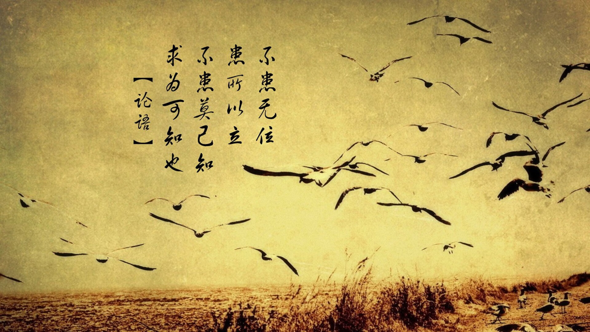 时空交叠的绿茵奇迹,当东决的硝烟弥漫在伊斯坦布尔的夜空