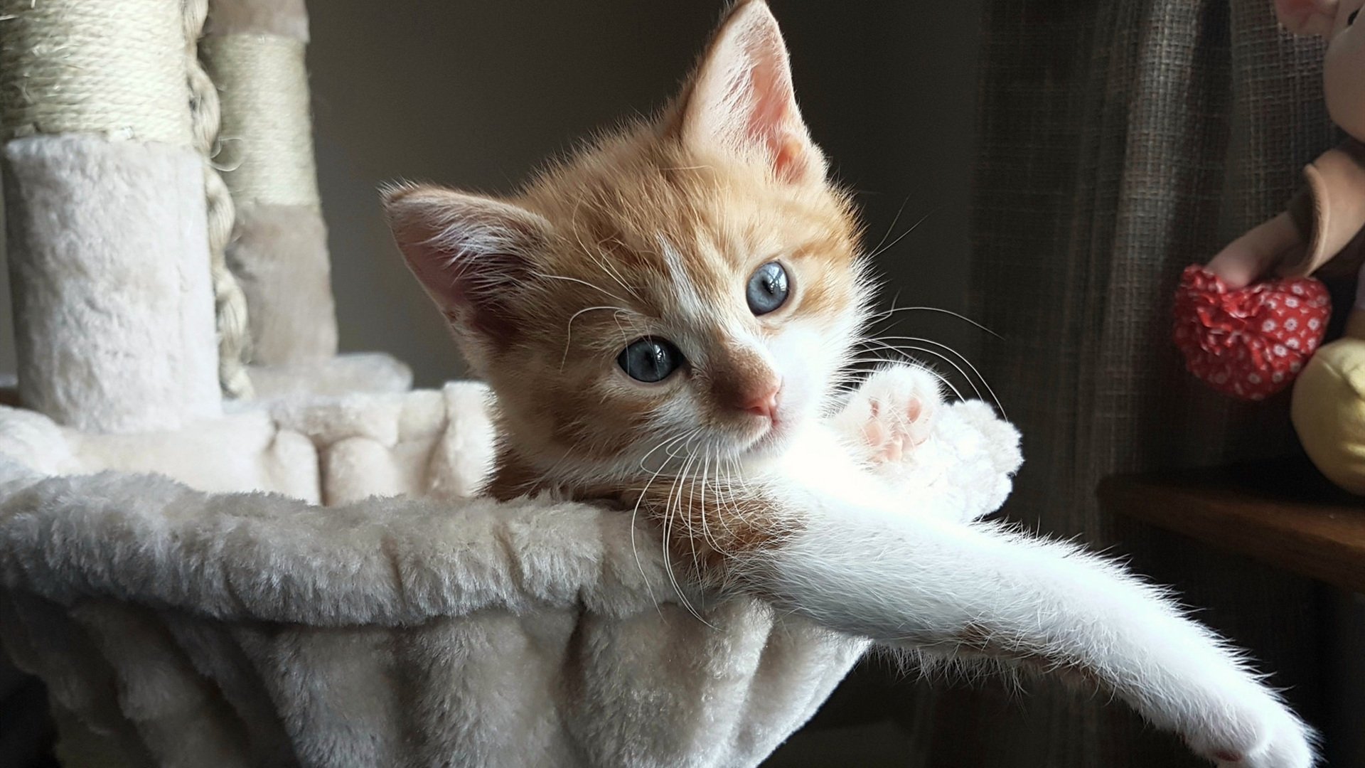 南美德比的意外转折，无名英雄阿劳霍如何让巴西的华丽哑火