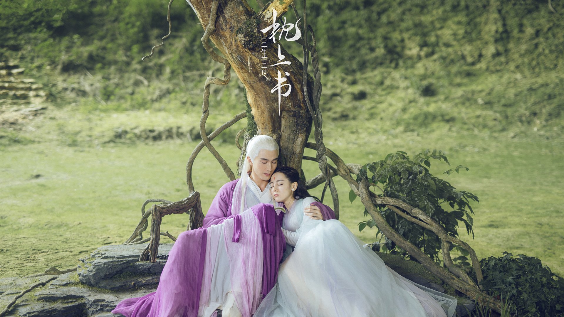 开云体育APP下载-高原雄鹰绝境翱翔，厄瓜多尔终结塞内加尔，昂首晋级十六强